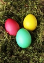 Easter eggs on the grass