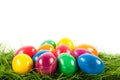 Easter eggs on green gras isolated food