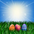 Easter eggs on the green grass