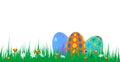 Easter eggs with green grass and flowers on white background Royalty Free Stock Photo