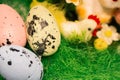 Easter eggs on green grass. Happy Easter decor. Springtime holidays. Easter toys and painted eggs.