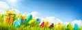 Easter Eggs With Green Grass and Sun Royalty Free Stock Photo