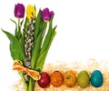 Easter eggs hand painted with a bouquet of flowers tulips, catkins. Royalty Free Stock Photo