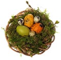 Easter eggs hand painted in a wicker wreath, bird`s nest of moss