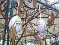 Easter Eggs Hanging On A Tree Hung With Ribbons