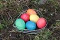 Easter Eggs in Heartform on a Meadow Royalty Free Stock Photo