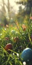 Easter Eggs Hidden Among Spring Flowers