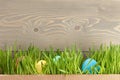 Easter eggs hiden in grass Royalty Free Stock Photo