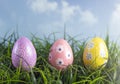 Easter Eggs Hiding in the Grass on a Beautiful Spring Day Royalty Free Stock Photo