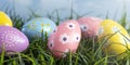 Easter Eggs Hiding in the Grass on a Beautiful Spring Day Royalty Free Stock Photo