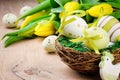 Easter eggs in holiday setting Royalty Free Stock Photo