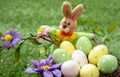 Happy Easter. Pastel colored eggs in a nest on green grass, close up view Royalty Free Stock Photo