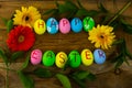 Easter eggs and leaves Royalty Free Stock Photo