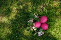 Easter eggs lie in a nest on the grass in the branches of apple blossoms