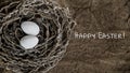 Easter eggs lie in the nest on the ground Royalty Free Stock Photo