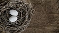 Easter eggs lie in the nest on the ground Royalty Free Stock Photo