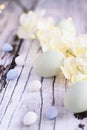 Easter Eggs malt candy eggs and Flowers against Wood Background Royalty Free Stock Photo
