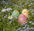 Easter eggs in meadow Royalty Free Stock Photo