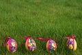 Easter eggs in meadow