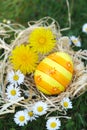 Easter eggs on the meadow with daisies and dandelions