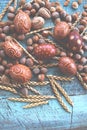 Easter eggs natural arrangement with hazelnuts, spelt, apricot kernels an walnuts Royalty Free Stock Photo