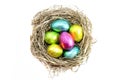 Easter eggs in nest Royalty Free Stock Photo