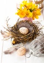 Easter eggs nest with birdcage and yellow Spring Crocus