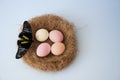 Easter eggs in a nest on a blue background. Copy space for text. Big beautiful butterfly Royalty Free Stock Photo