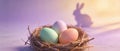 Easter eggs in a nest with a bunny shadow in the background, soft pastel colors Royalty Free Stock Photo