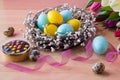 Easter eggs in the nest, cupcake and tulips. Easter background with blue and yellow eggs in nest and colorful tulips.