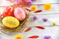 Easter eggs in nest decoration with colorful spring flowers petal white background Royalty Free Stock Photo