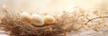 Easter eggs in nest with dry flowers on warm background banner. Panoramic web header. Wide screen wallpaper