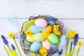 Easter eggs in nest, feather and spring flowers on white table top view. Holiday card or banner Royalty Free Stock Photo