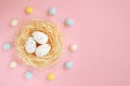 Easter eggs in the nest, isolated on pink background Royalty Free Stock Photo