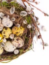 Easter eggs in the nest with narcissus Royalty Free Stock Photo