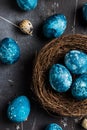 Easter eggs in nest painted by hand in blue color on dark background Royalty Free Stock Photo