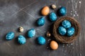 Easter eggs in nest painted by hand in blue color on dark background