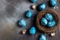 Easter eggs in nest painted by hand in blue color on dark background Royalty Free Stock Photo