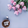 Easter eggs in nest and pink tulips flowers on blue spring background. Happy Easter card. Top view, flat lay Royalty Free Stock Photo