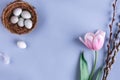 Easter eggs in nest and pink tulips flowers on blue spring background. Happy Easter card. Top view, flat lay Royalty Free Stock Photo