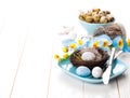 Easter eggs nest on plate Royalty Free Stock Photo