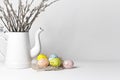 easter eggs nest pussy willow white background