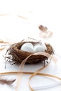 Easter eggs in a nest with ribbons and feathers