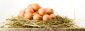 Easter eggs in nest on rustic wooden planks. White background