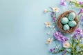 Easter eggs in nest and spring flowers on blue background. Top view with copy space Royalty Free Stock Photo