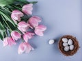 Easter eggs in nest and tulips flowers on spring background. Top view with copy space. Happy Easter card Royalty Free Stock Photo