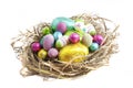 Easter eggs in nest on white Royalty Free Stock Photo