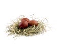 Easter eggs in nest on white