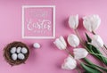 Easter eggs in nest and white tulips flowers on pink background with Easter card. Royalty Free Stock Photo