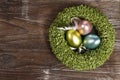 Easter eggs in nest Royalty Free Stock Photo